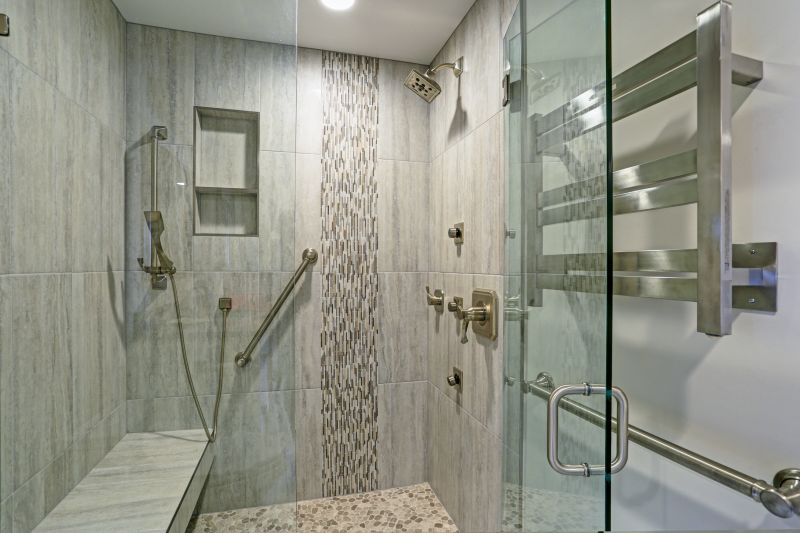 Modern Shower Niche